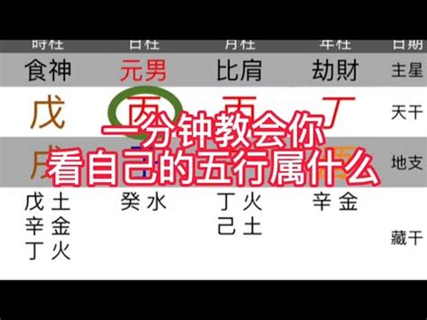 宥五行屬什麼|為何要平衡五行？玄學解密